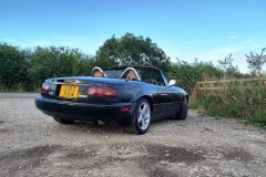 IMG_20250716_202215-scaled