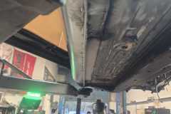 IMG-20260210-WA0005