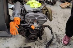 IMG_20260131_110918-1-scaled