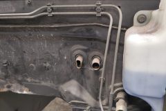 IMG_20260207_105429-1-scaled